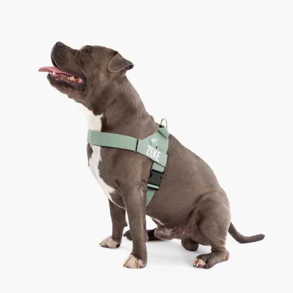 Product image 68