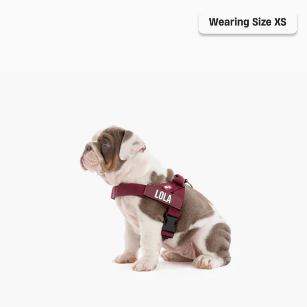 Product image 75